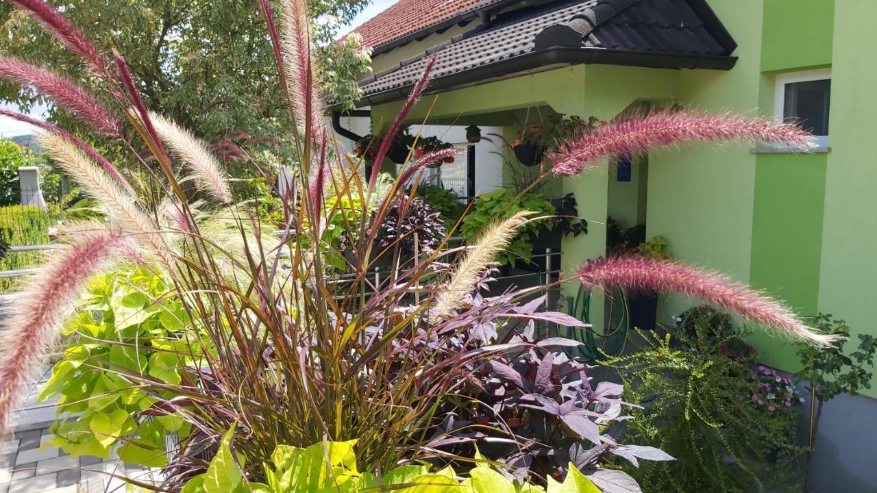 Appartement Grizzly Slunj